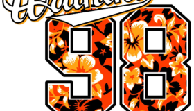 数字98花朵图案图片素材 CDR 数字98花朵图案图片素材 CDR