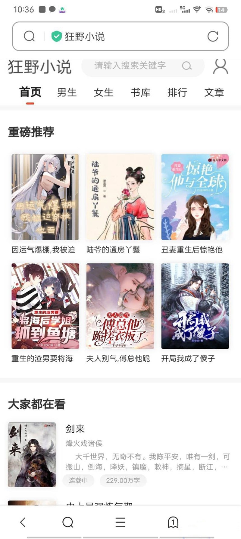 10月狂雨CMS的小说系统小说网站源码 带管理后台手机端和采集 10月狂雨CMS的小说系统小说网站源码 带管理后台手机端和采集