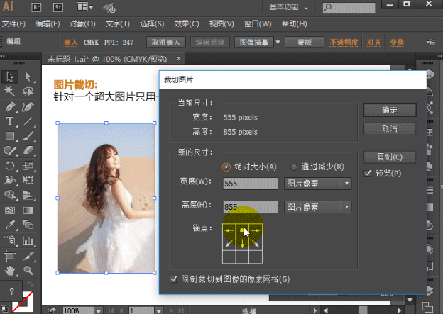 AI插件-可以裁切图片一键PS修图强大的功能Rasterino中文汉化版