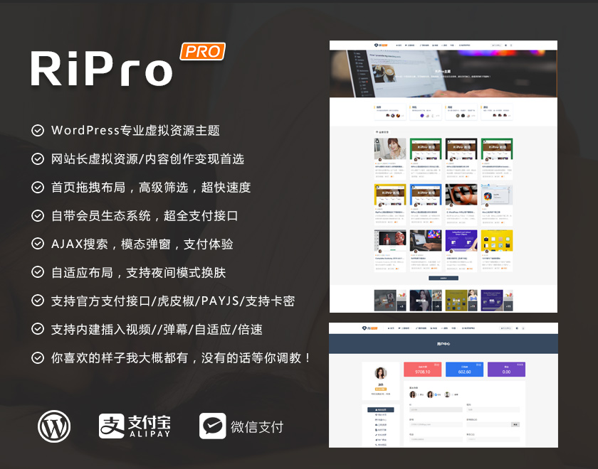 RiPro6.3.8最新破解版免费下载 WordPress主题模板 虚拟资源下载类主题 riprodl插件