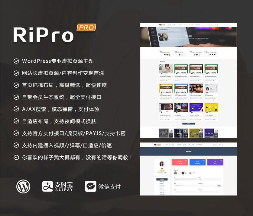 WordPress主题RiPro v8.6主题虚拟资源分享下载主题无限制版 WordPress主题RiPro v8.6主题虚拟资源分享下载主题无限制版