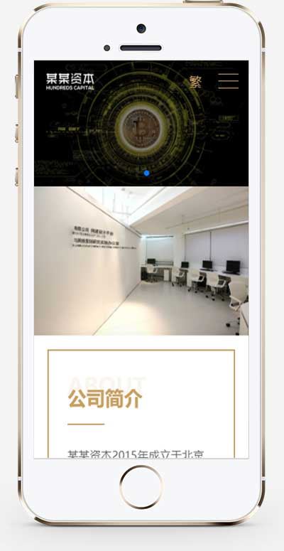 (落地单页)简繁双语响应式HTML5通用金融资本咨询网站单页pbootcms模板自适应手机端 (落地单页)简繁双语响应式HTML5通用金融资本咨询网站单页pbootcms模板自适应手机端